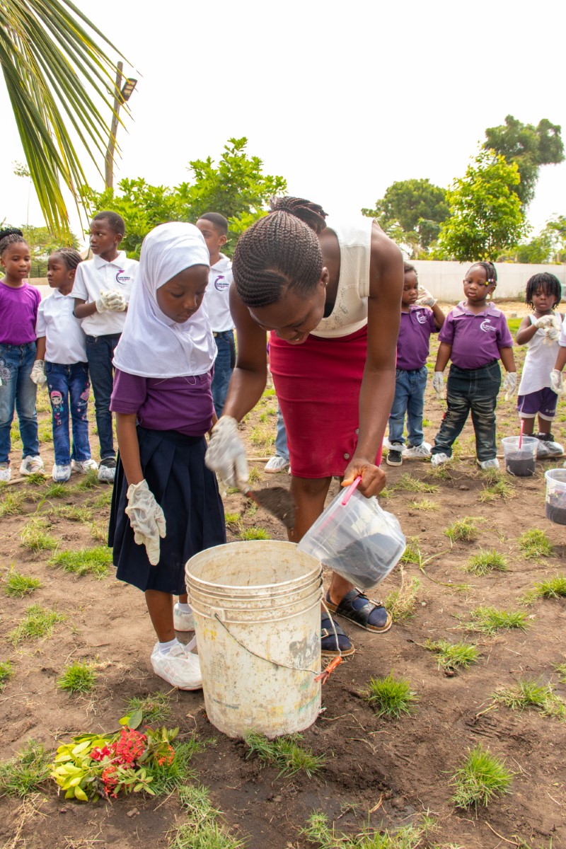 Nature and Plant Care