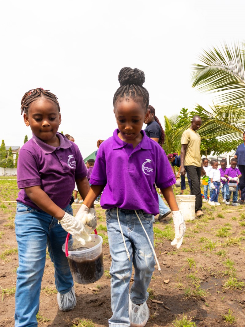 Nature and Plant Care