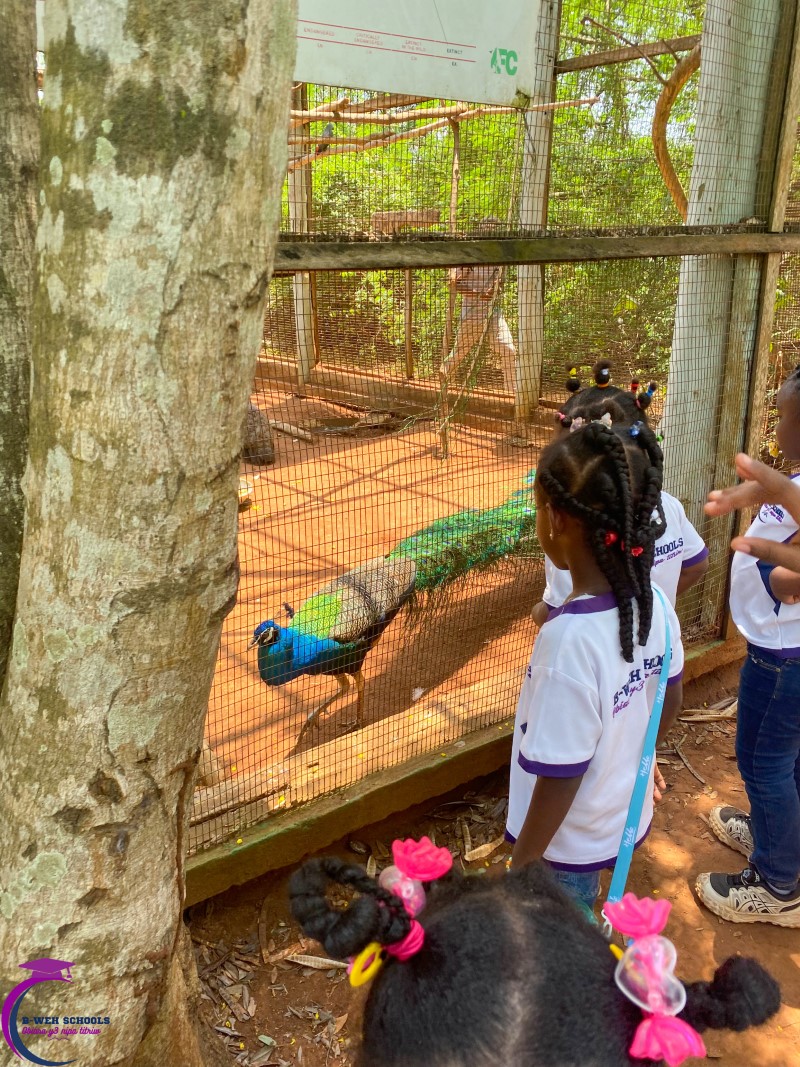 A visit to Accra Zoo