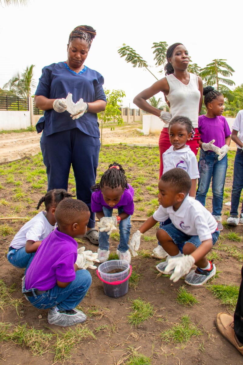 Nature and Plant Care